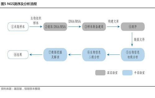 干货丨遗传病基因检测行业研究报告