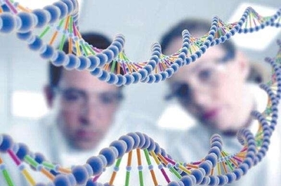 九天易数 人类基因密码与易经天干地支的惊人契合