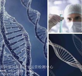 中老年基因检测套餐 疗养院健康的“导航仪”