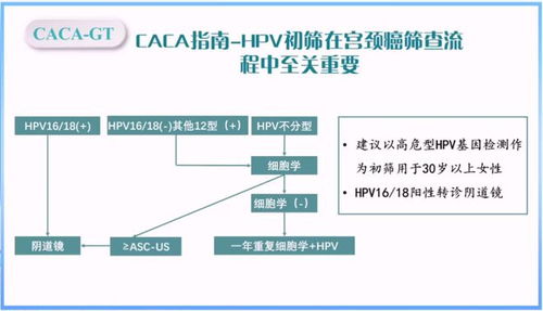 魏冰教授深入解读基因检测规范,助力肿瘤患者迈入精准治疗时代