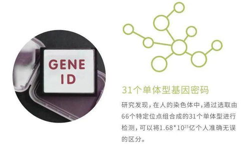华大基因安馨可基因检测系列产品全新上市，开启精准健康管理新时代
