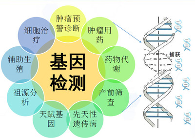 iGeneTech 基因捕获技术助力疗养院降低基因检测成本